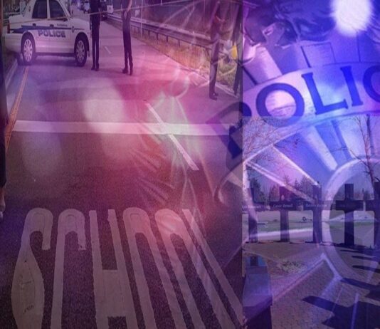 Columbine School Shooting and the Columbine Effect