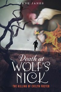 Death at Wolf's Nick book cover