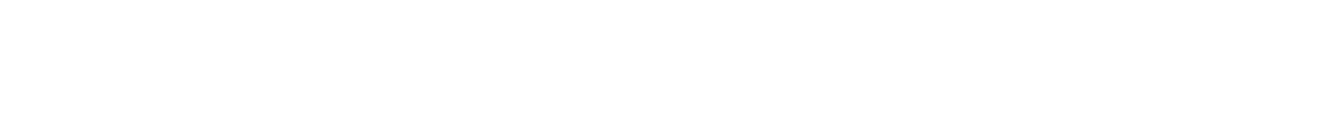 Crime Traveller